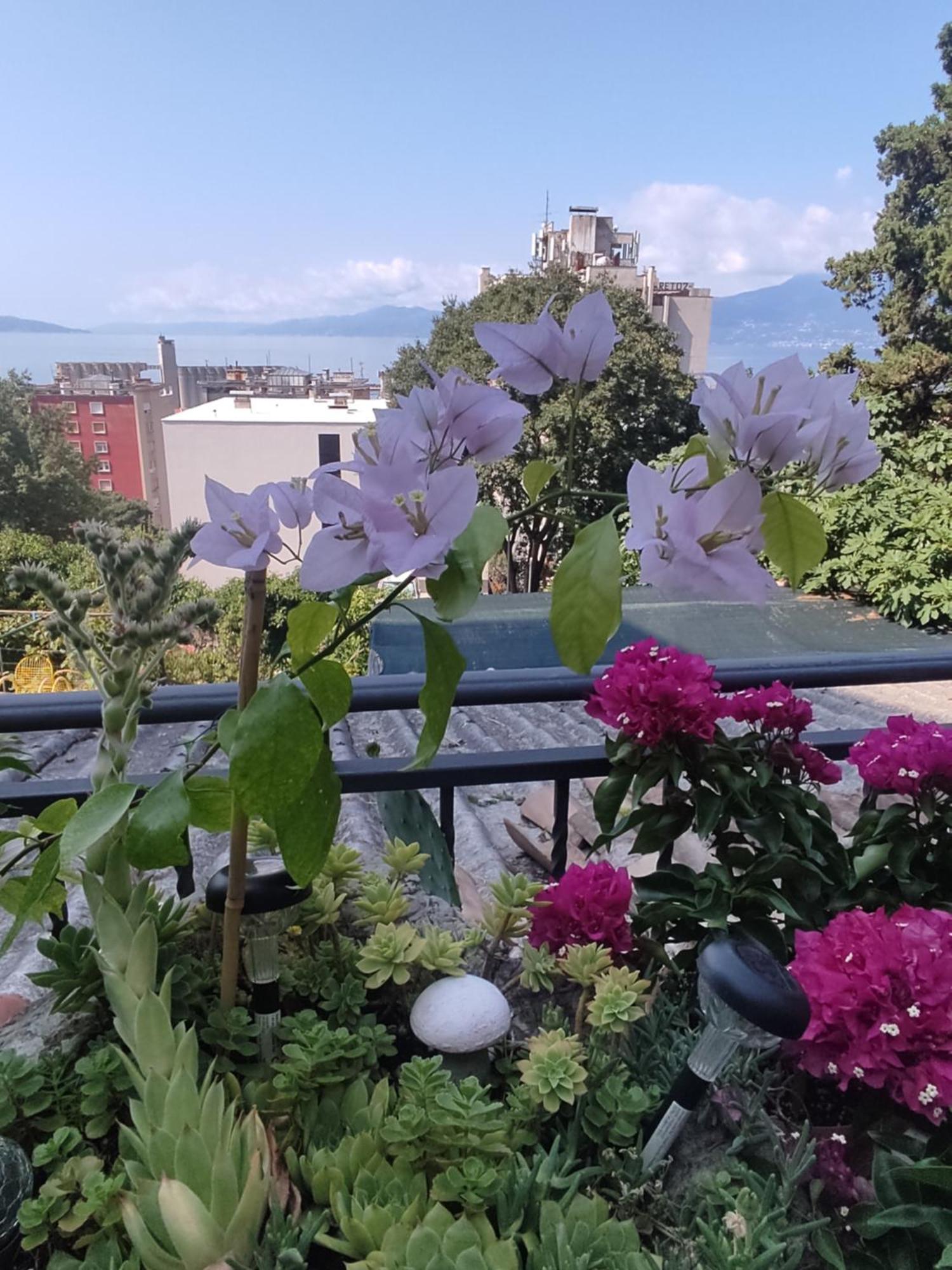 Apartman Bella Vista Rijekaアパートメント エクステリア 写真