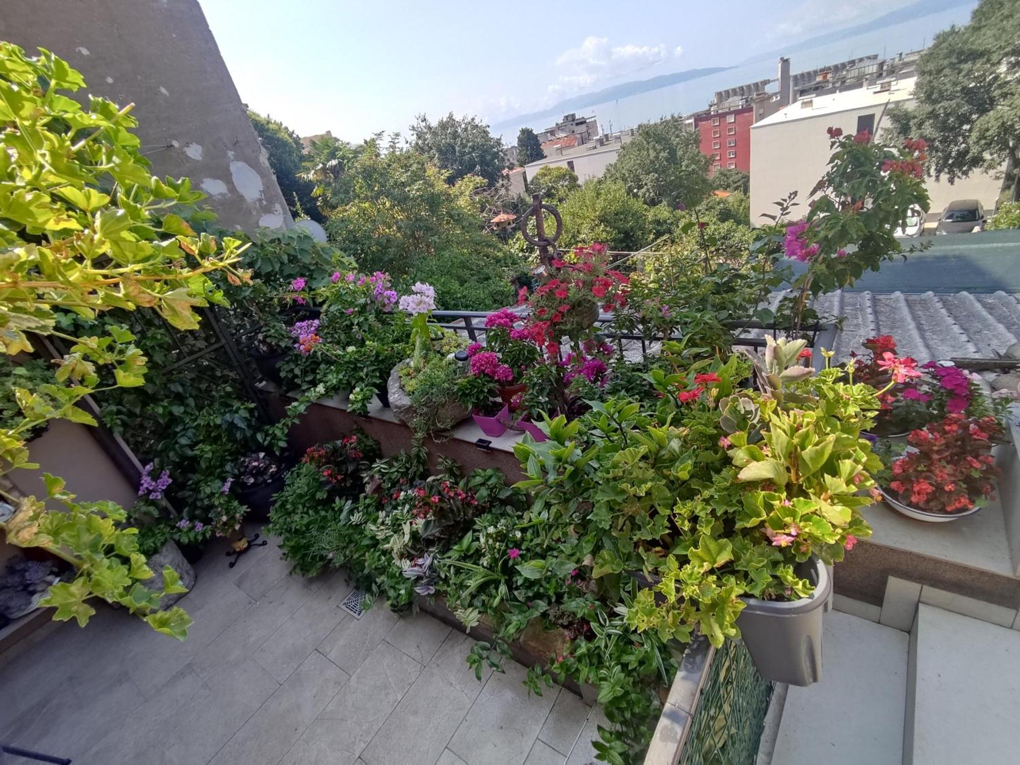 Apartman Bella Vista Rijekaアパートメント エクステリア 写真