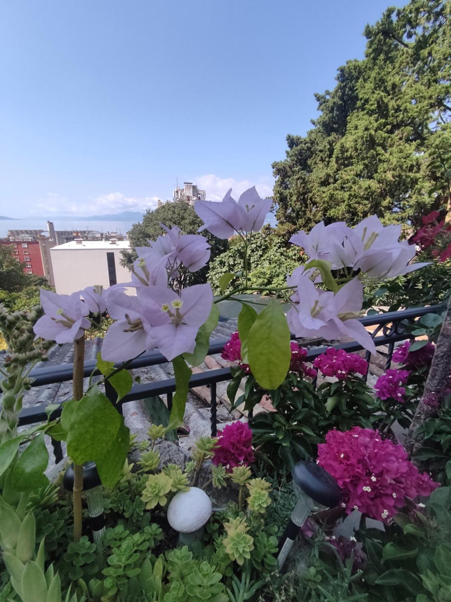 Apartman Bella Vista Rijekaアパートメント エクステリア 写真